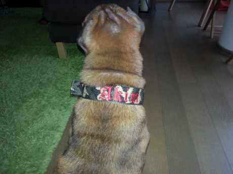 Fešák, konečně vypadá jako dospělák :o)))